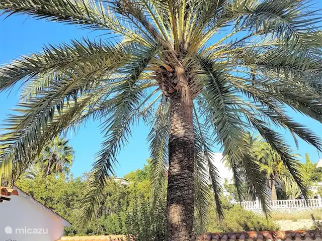 Villa Natimar | Espagne, Costa Blanca, Benissa - villa Jardin