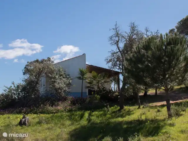 Location de Vacances Portugal, Setúbal, Santiago do Cacém, maison de vacances - Casa Camelia Eco & Nature Casa Camelia