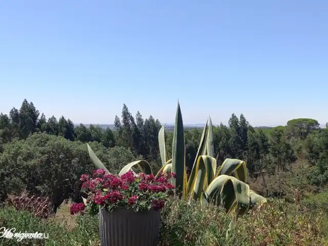 Location de Vacances Portugal, Setúbal, Santiago do Cacém, maison de vacances - Casa Camelia Eco & Nature Agave