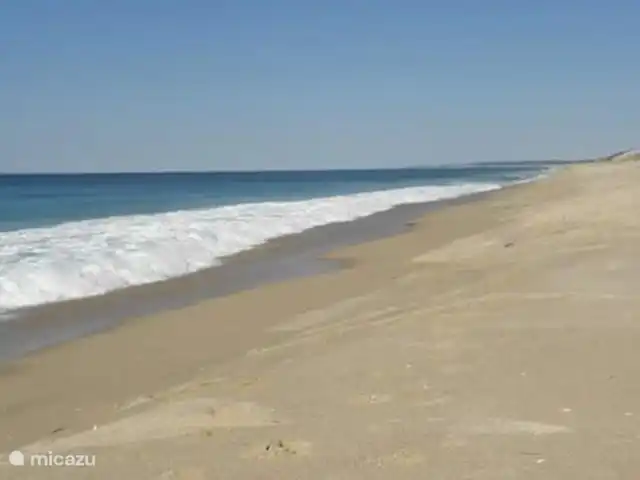 Location de Vacances Portugal, Setúbal, Santiago do Cacém, maison de vacances - Casa Camelia Eco & Nature Plage à proximité