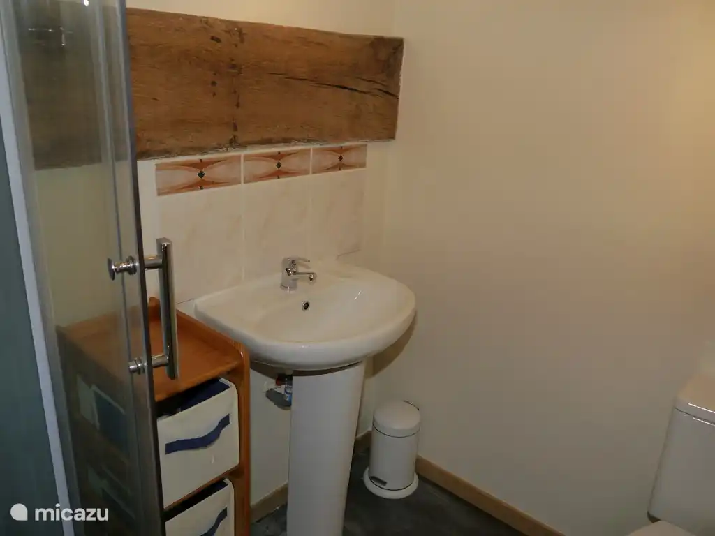 Baño de arriba con ducha, lavabo e inodoro.