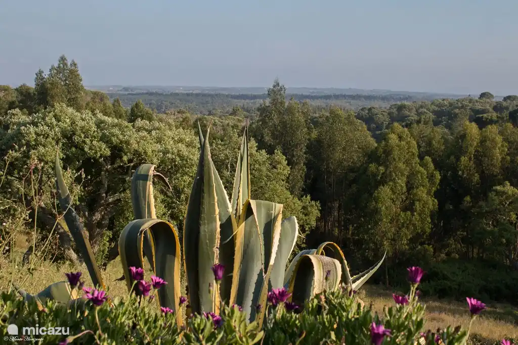 Blick auf den Monte Horizonte