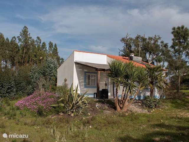Ferienwohnung Portugal, Alentejo, Santiago Do Cacem - ferienhaus Casa Oliveira Öko &amp; Natur