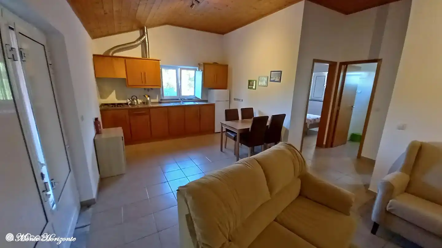 Wohnzimmer mit offener Küche