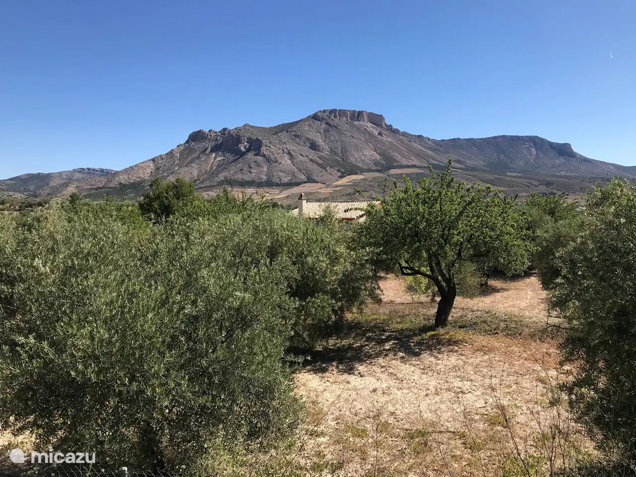 Este huerto de almendros se encuentra entre la casa y la carretera. Puedes comer las almendras.