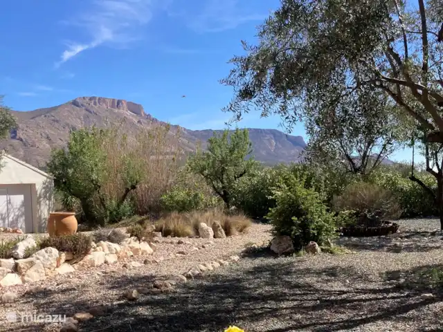 Finca Mi Casita | Espagne, Andalousie, Velez Rubio - finca Le jardin avec 'La Muela' en arrière-plan.