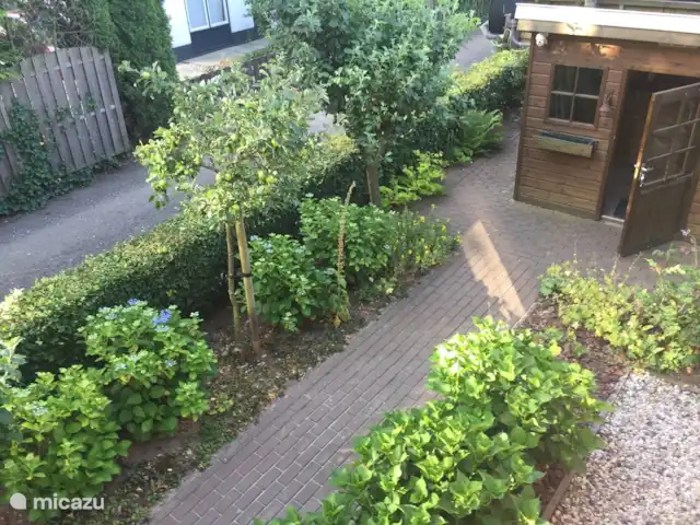 Boshuuske Holten huren in Nederland, Overijssel, Holten - vakantiehuis Schuur