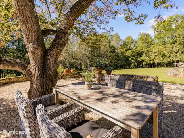 Lesgrabous huren in Frankrijk, Dordogne, Les Eyzies-de-Tayac-Sireuil - vakantiehuis Het terras