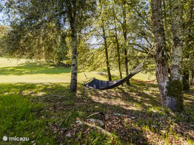Lesgrabous huren in Frankrijk, Dordogne, Les Eyzies-de-Tayac-Sireuil - vakantiehuis Tuin