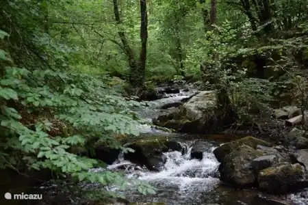 Vakantiehuis Frankrijk, Nièvre, Fâchin boerderij Les Bougnons Prachtig wandelgebied