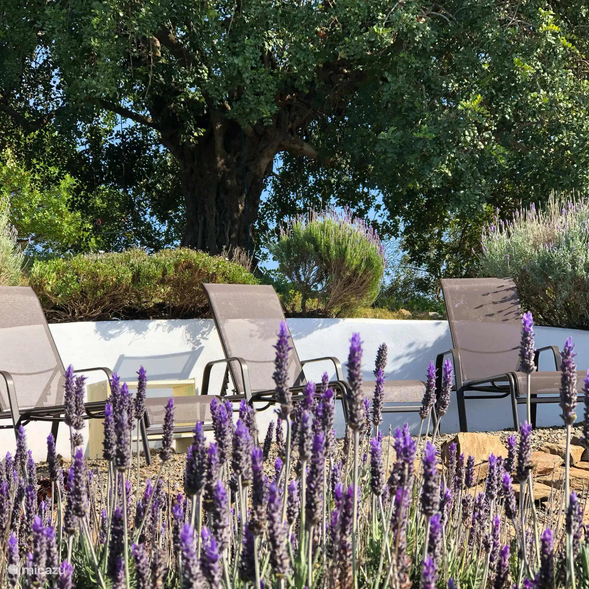 Es gibt mehrere Plätze mit Sonnenliegen im Garten und am Pool