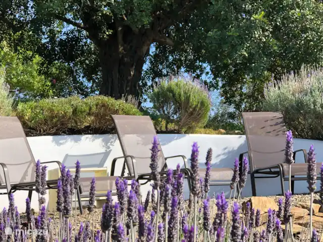 Finca Las Nuevas, Casa Sofia | Espagne, Andalousie, Álora - gîte / cottage Il y a plusieurs endroits avec des transats dans le jardin et au bord de la piscine