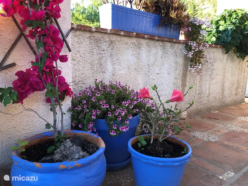 Gemeinschaftsterrasse