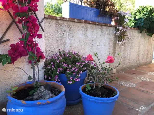 Finca Las Nuevas, Casa Sofia | Espagne, Andalousie, Álora - gîte / cottage Terrasse commune