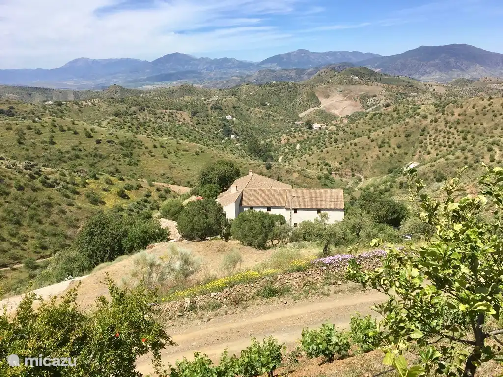 Finca Las Nuevas mit Blick auf die Sierra de las Nieves.