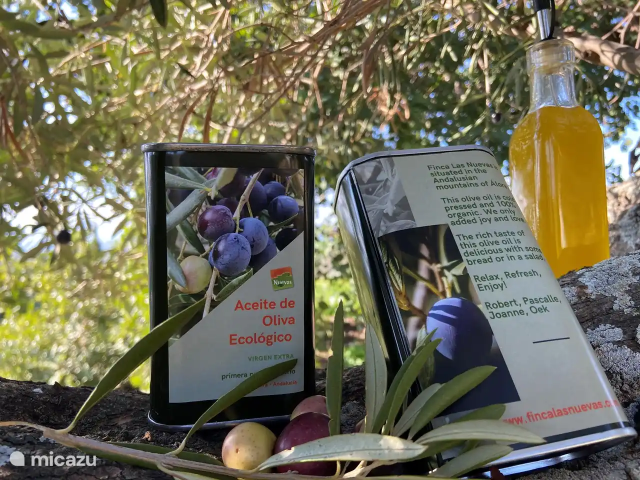 Bio-Olivenöl aus den Oliven der Finca Las Nuevas