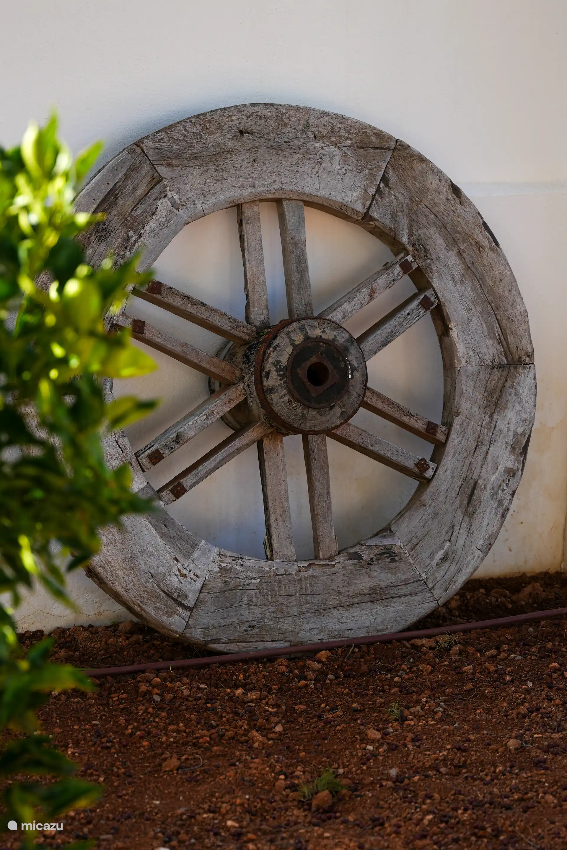 Decoración del jardín