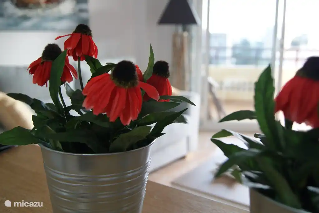 appartement huren in Olias, Andalusië, Spanje - Casa JoCa Duquesa