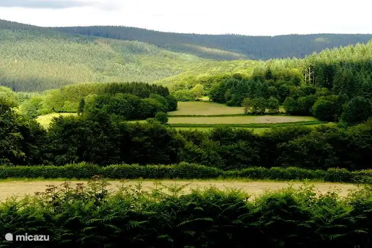 Fleur de Pommiers in Frankreich, Nièvre, Fâchin - Ferienhaus