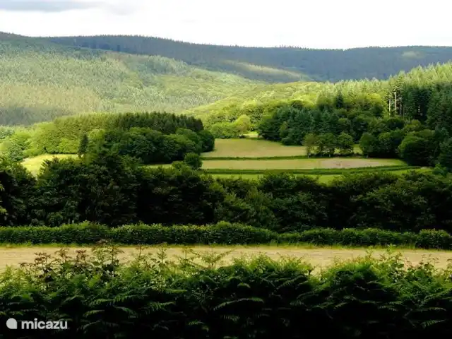 flor de pommiers en Francia, Nièvre, Fâchin - casa vacacional Ver Flor de Pommiers