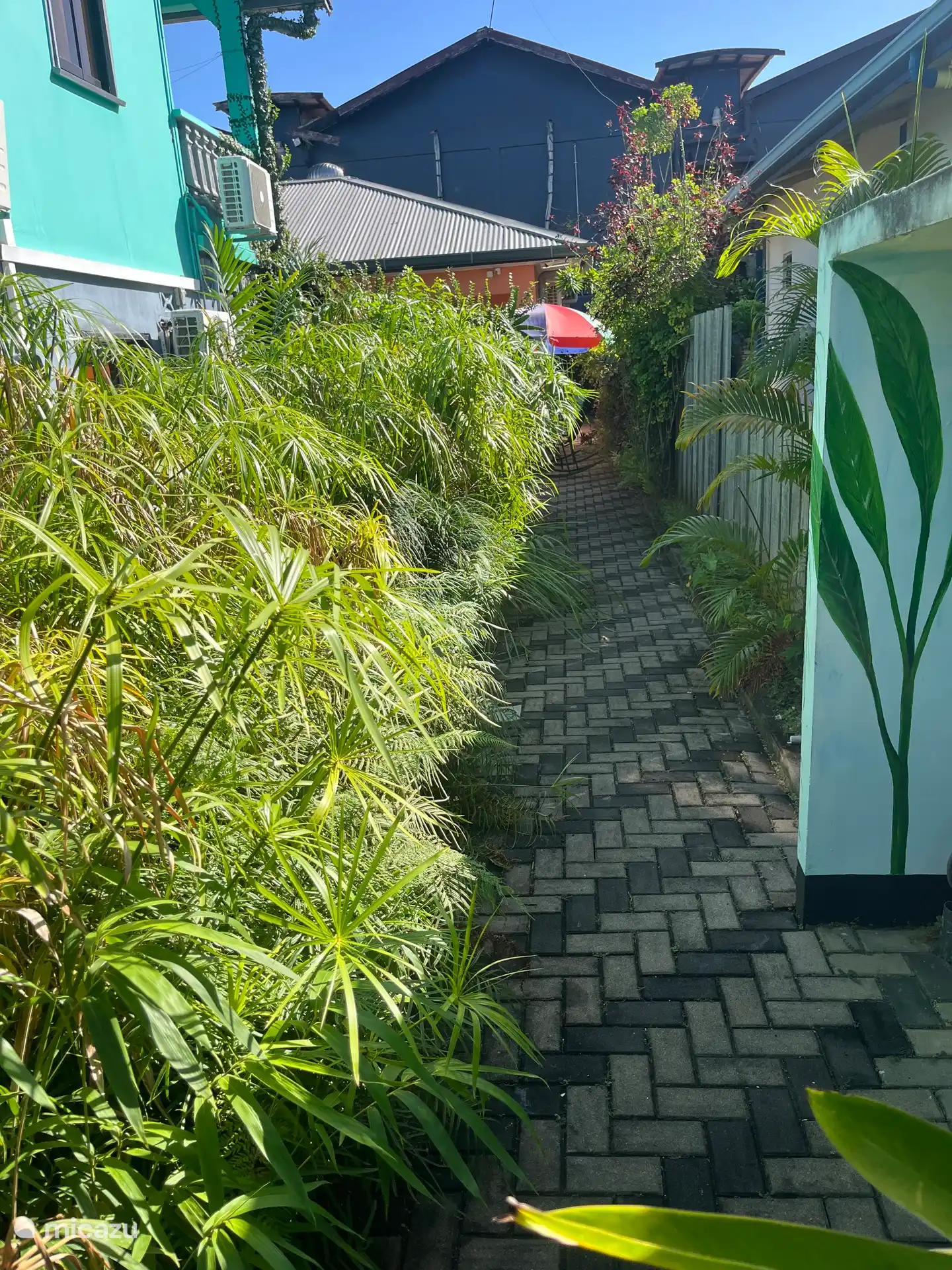 Jardín