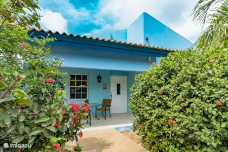 Vakantiehuis Curaçao, Banda Ariba (oost), Jan Thiel vakantiehuis Verborgen parel Jan Thiel Vakantiehuis Curaçao, Banda Ariba (oost), Jan Thiel vakantiehuis Verborgen parel Jan Thiel