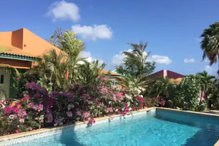 Vakantiehuis Curaçao, Banda Ariba (oost), Jan Thiel vakantiehuis Verborgen parel Jan Thiel Gemeenschappelijk zwembad