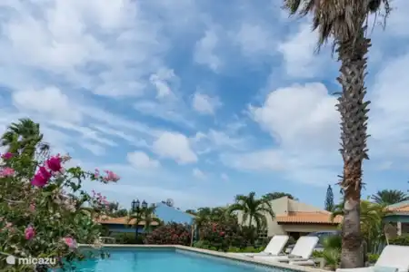 Vakantiehuis Curaçao, Banda Ariba (oost), Jan Thiel vakantiehuis Verborgen parel Jan Thiel Gemeenschappelijk zwembad
