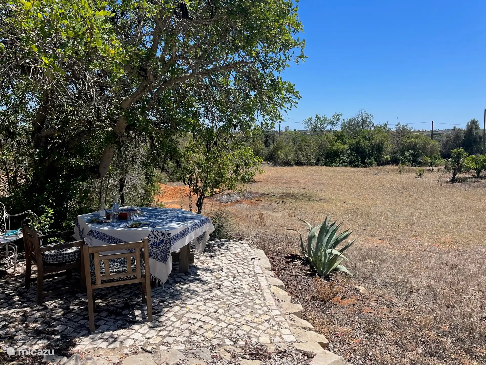 Grote tuin rondom het huis. Volop priovacy