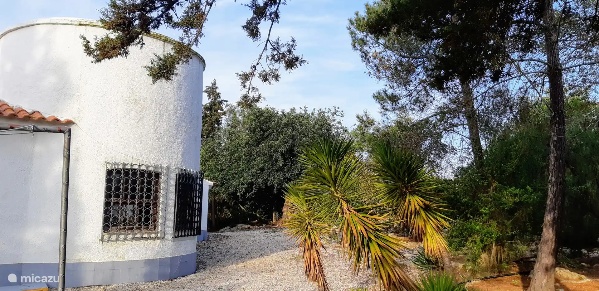 kijkje in de tuin achter het huis