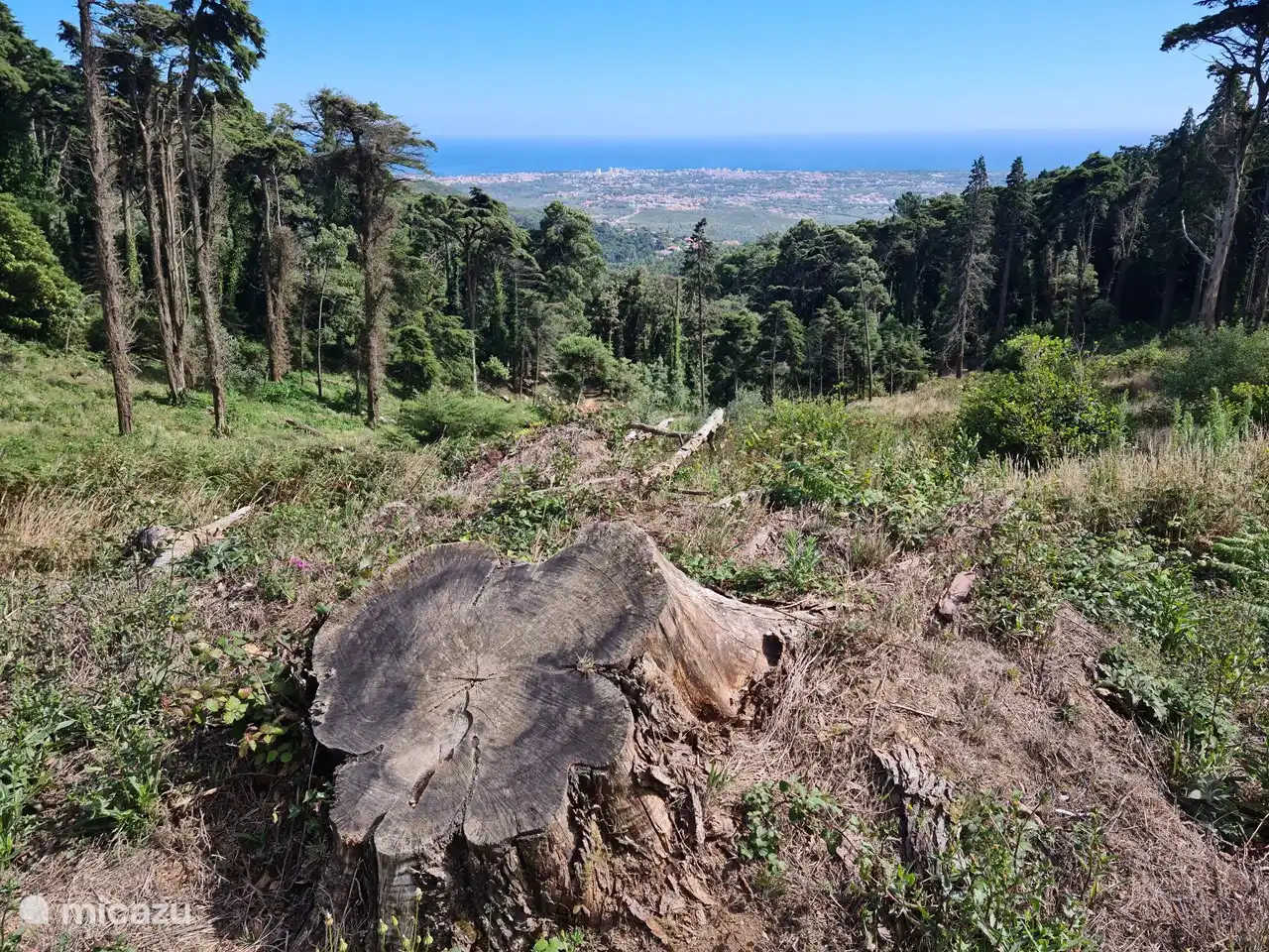 Blick von Sintra nach Cascais