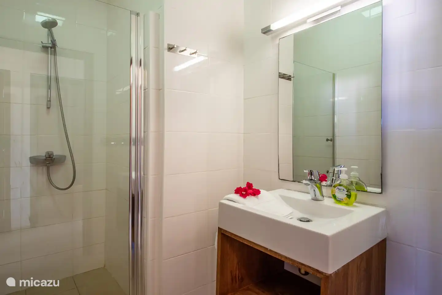 Badkamer gastenkamer