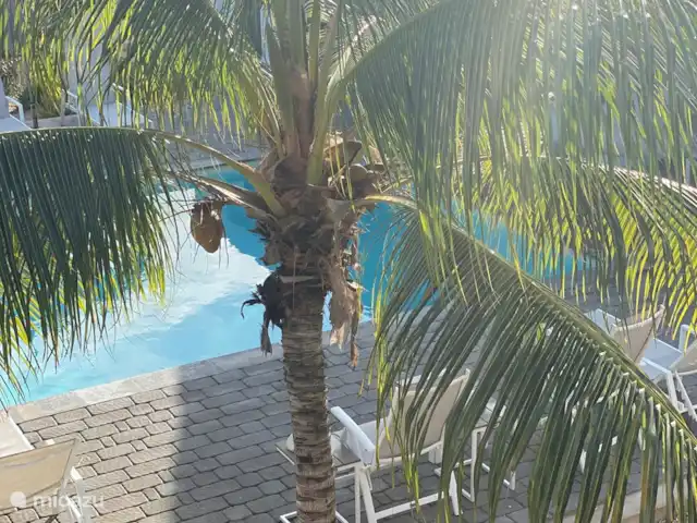 Penthouse de luxe La Royal @ Jan Thiel | Curaçao, Banda Ariba (est), Jan Thiel - appartement Voir la cuisine