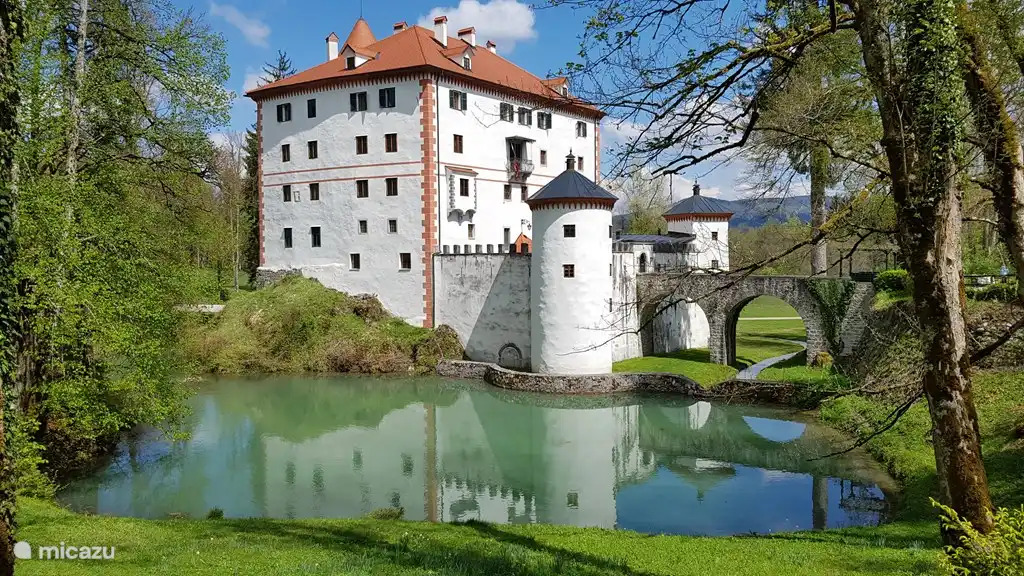Le château Sneznik.