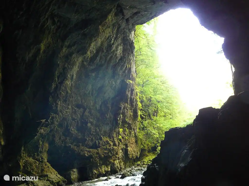 Grottes de Rakov Skocjan