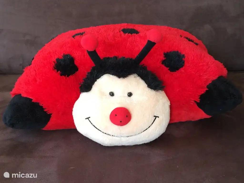 Équipé de jouets pour enfants