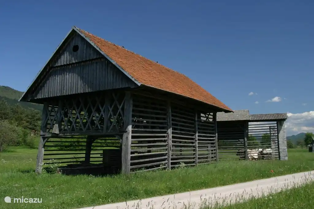 Ces râteliers à foin slovènes typiques sont des icônes dans le paysage.