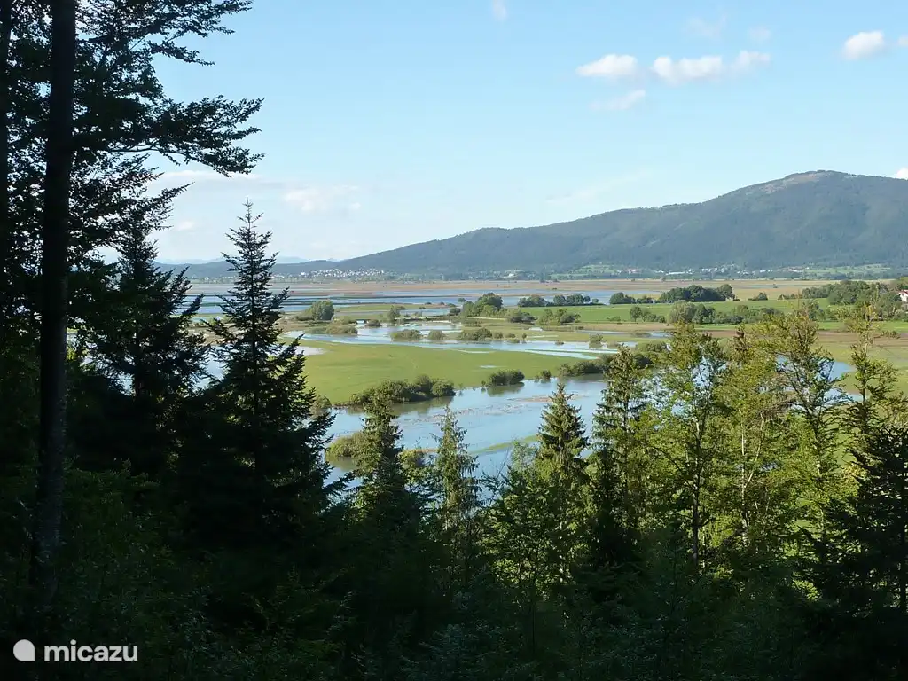 Réserve naturelle du parc Notranjski avec le lac karstique périodique de Cerknca : Cerknisko Jezero. Selon la saison, le lac est rempli d'eau ou vous pouvez faire du vélo et marcher sur le fond du lac.
