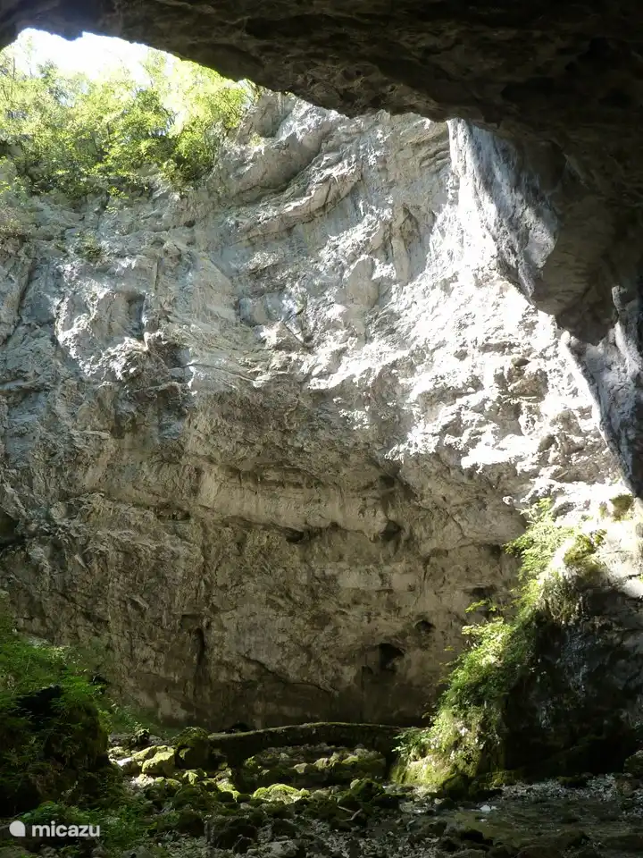 La grotte effondrée de Rakov Skocjan.