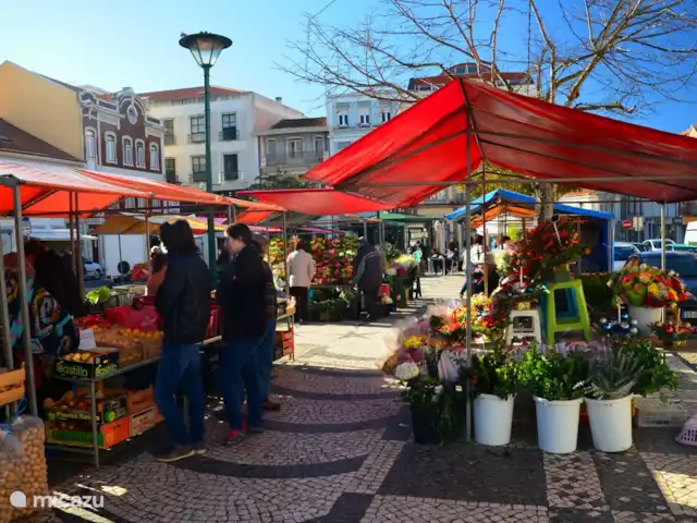 Cazen Salir do Porto | Portugal, Costa de Prata, Salir Do Porto - maison de vacances Il y a un marché quotidien à Caldas da Raihna