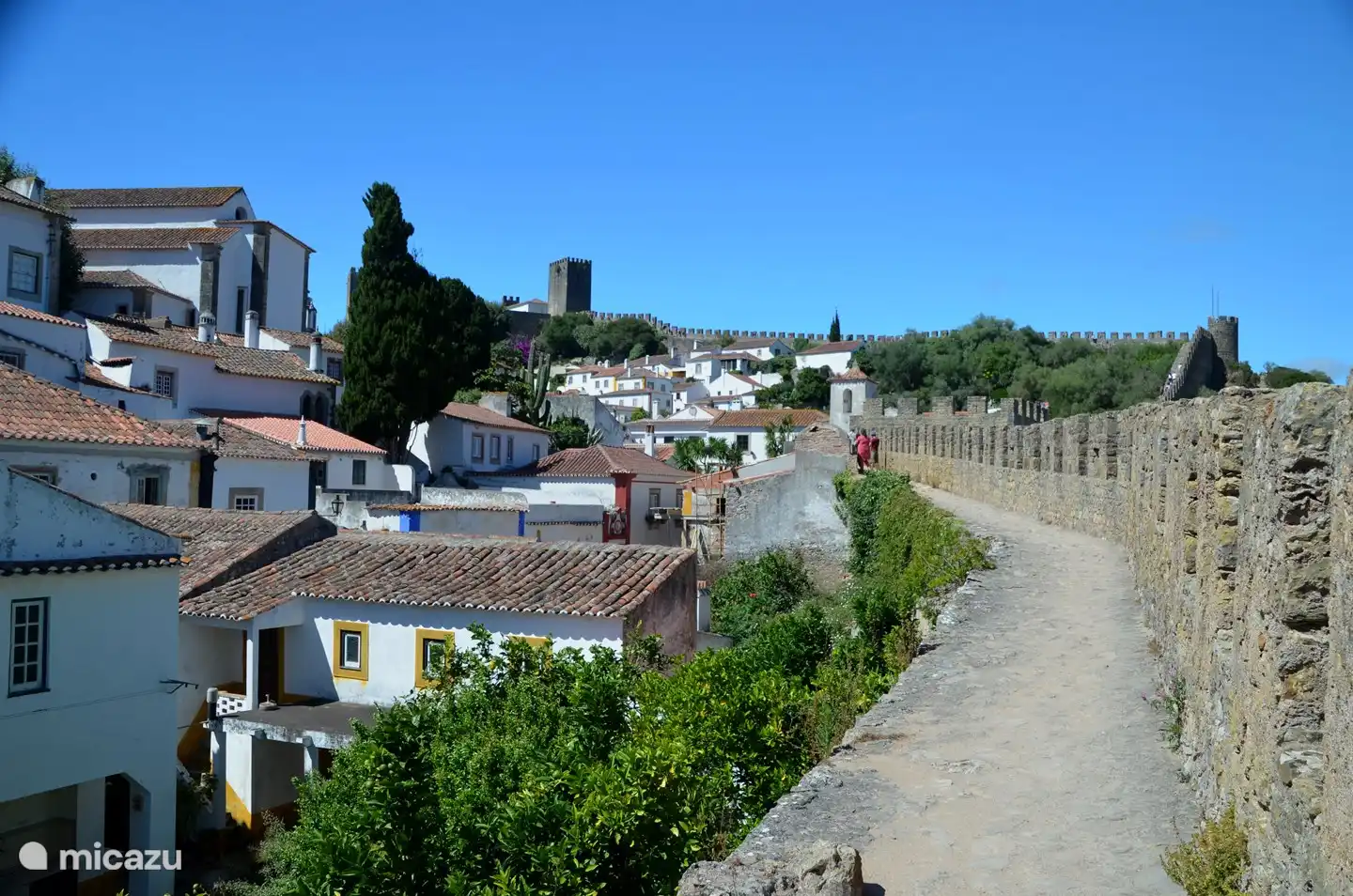 Historische stadje Óbidos op 20 km van Salir do Porto, zeker een bezoekje waard.