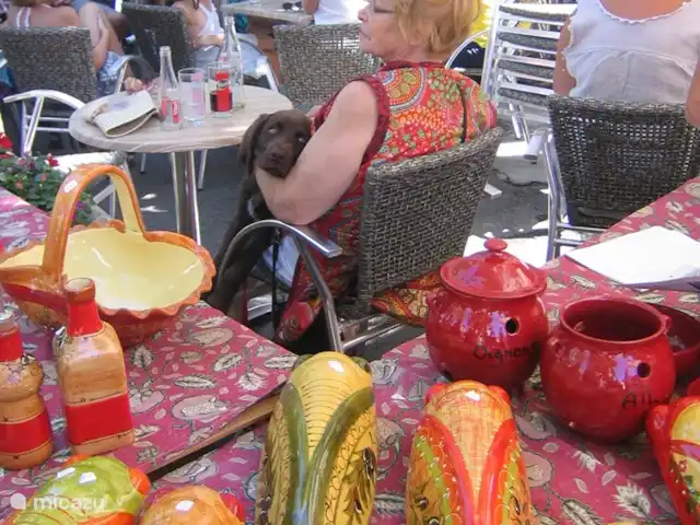 Terminer Hortorum | France, Var, Rians - villa visiter les nombreux marchés de la région