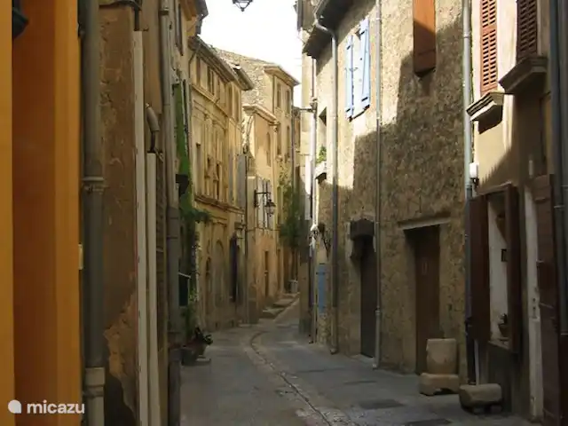Terminer Hortorum | France, Var, Rians - villa vue du village