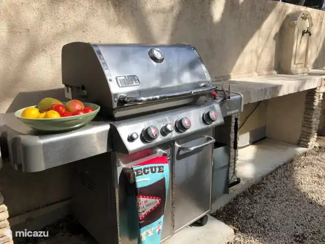 Terminer Hortorum | France, Var, Rians - villa BBQ et grande table pour les belles soirées d'été