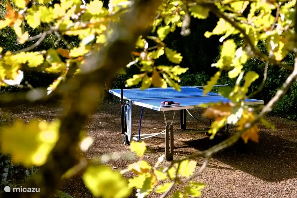 Taffel-Tennis und Boiule-Platz 