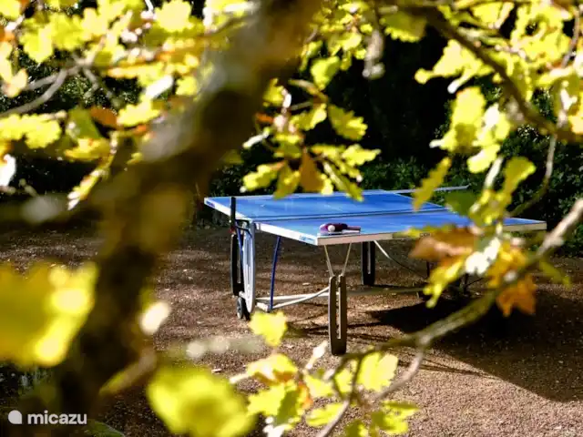 Terminer Hortorum | France, Var, Rians - villa Tennis de taffel et terrain de boiule