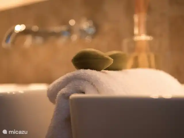 Maison 'La Vernède' | France, Tarn-et-Garonne, Sauveterre - villa salle de bain 1er étage