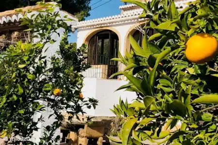 Vakantiehuis Spanje, Costa Blanca, Javea villa Villa met zwembad nabij Javéa Tuin