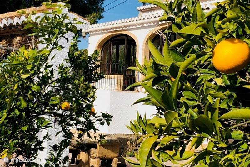 Vakantiehuis Spanje, Costa Blanca, Javea Villa Villa Allà Dalt 