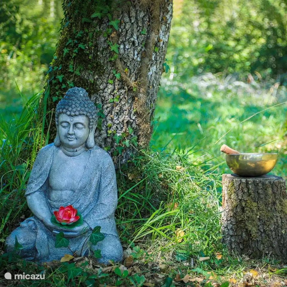 Jardin Mistique entspannen, Yoga und mind fullness.